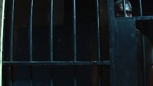 Rough deepthroat sessions in jail