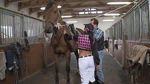 Mounted by Tera the jockey