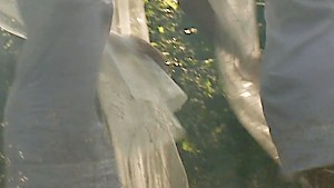 Horny blondes fucking in the wild outdoors