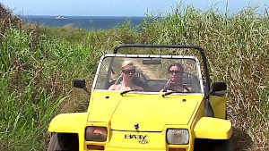 Tarra White licks Aneta