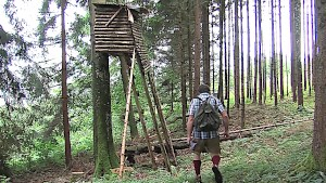 Caught blowing in the woods