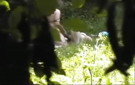 voyeuring couple in public park in Amsterdam