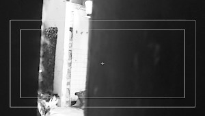 British gals enjoying some group sex