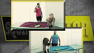 Two beauties make sure Danny D is rock hard for fucking