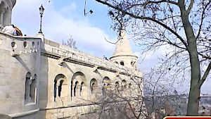 The bouncy boobs hypnosis