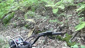 Hot blonde wife sucks stranger for help with quad