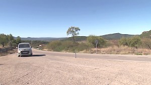 Angel sucking a huge dick