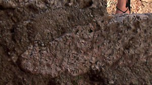 Zafira shows you her splendid goods