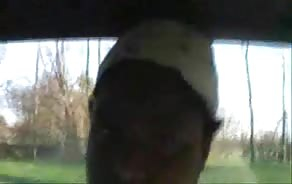 porno tube Ebony BBW  With Huge Tit's Giving Head